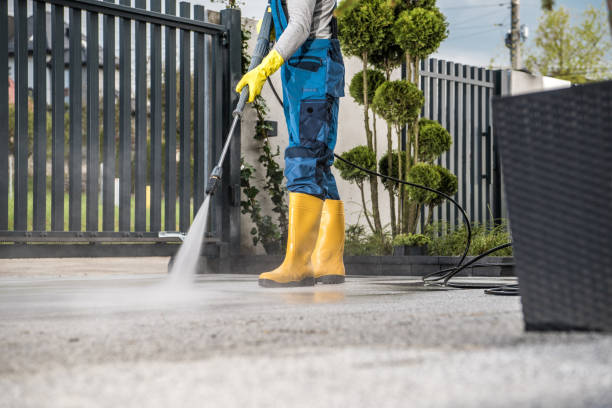 Best Soft Washing  in Blackshear, GA